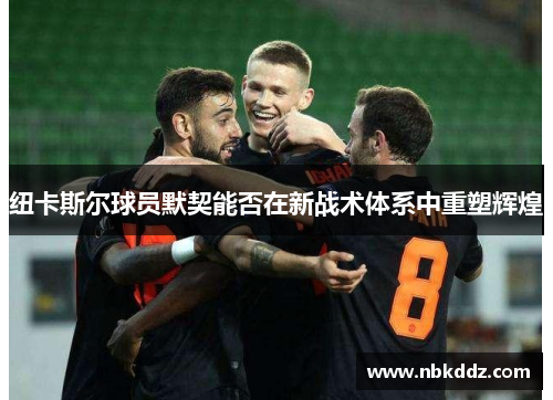 纽卡斯尔球员默契能否在新战术体系中重塑辉煌